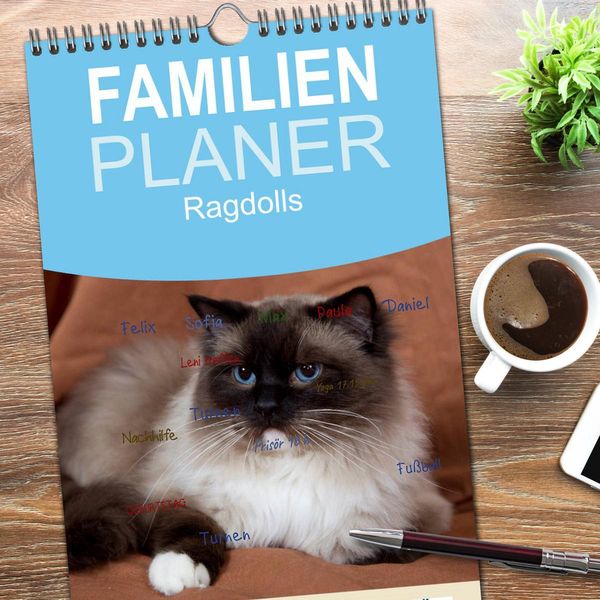 Produktbild: Familienplaner 2026 - Ragdolls mit 5 Spalten (Wandkalender, 21 x 45 cm) CALVENDO