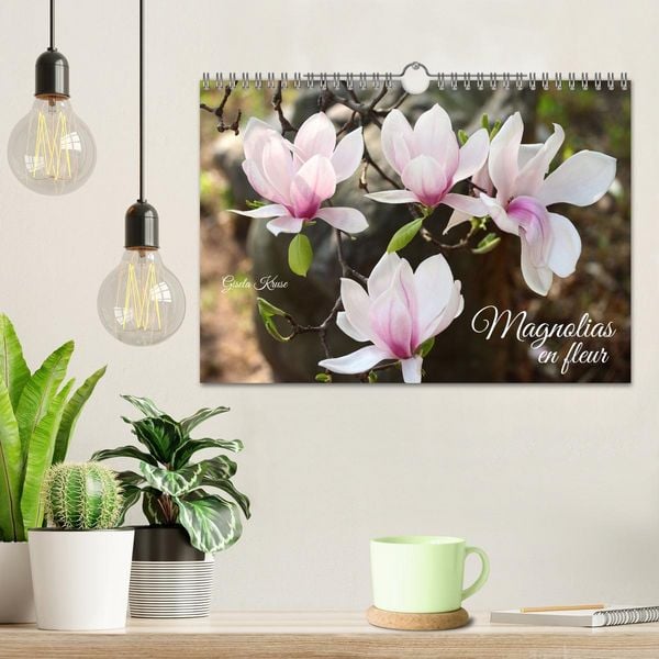 Produktbild: Magnolias en fleur (Calendrier mural 2026 DIN A4 vertical), CALVENDO calendrier mensuel