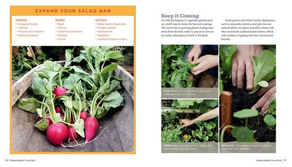 Produktbild: GrowVeg