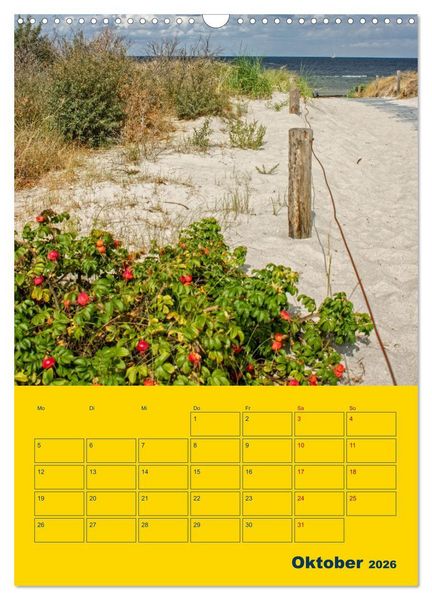 Produktbild: Sehnsuchtsort Ostseeinsel Poel (Wandkalender 2026 DIN A3 hoch), CALVENDO Monatskalender