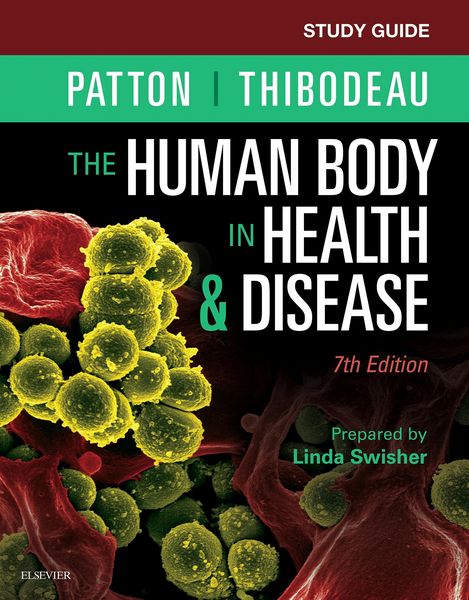 Produktbild: Study Guide for The Human Body in Health & Disease - E-Book