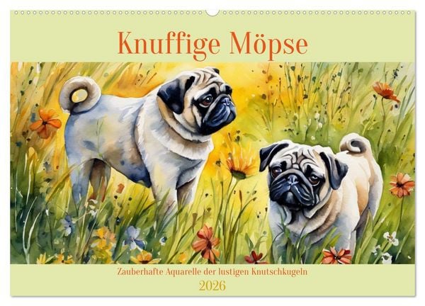 Produktbild: Knuffige M&ouml;pse (Wandkalender 2026 DIN A2 quer), CALVENDO Monatskalender