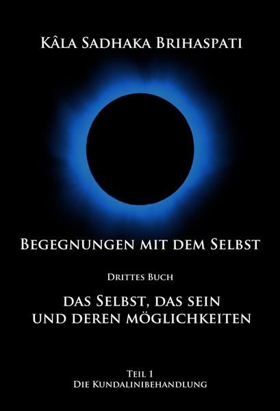 Produktbild: Begegnungen mit dem SELBST