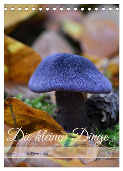 Die kleinen Dinge - märchenhafte Pilzwelten (Tischkalender 2026 DIN A5 hoch), CALVENDO Monatskalender