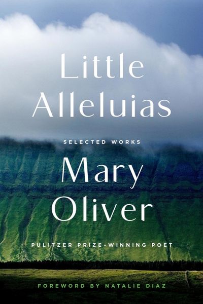 Produktbild: Little Alleluias