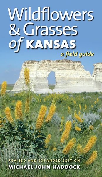 Produktbild: Wildflowers and Grasses of Kansas
