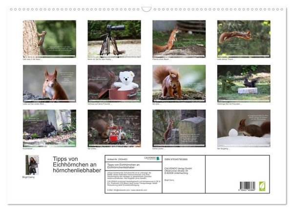 Produktbild: Tipps von Eichh&ouml;rnchen an Eichh&ouml;rnchenliebhaber (Wandkalender 2026 DIN A2 quer), CALVENDO Monatskalender