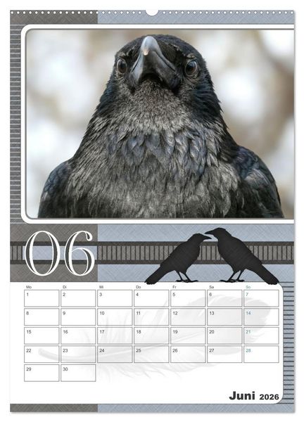 Produktbild: Kr&auml;hen - Clever notiert! Mit K&ouml;pfchen durchs ganze Jahr (hochwertiger Premium Wandkalender 2026 DIN A2 hoch), Kunstdruck in Hochglanz