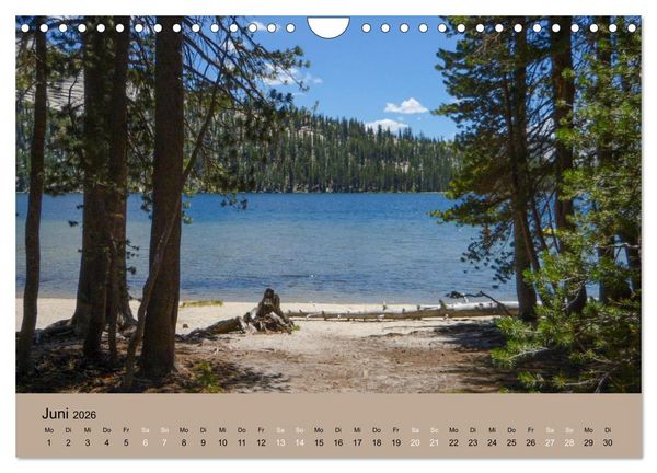 Produktbild: Yosemite, Entlang der Tioga Road (Wandkalender 2026 DIN A4 quer), CALVENDO Monatskalender