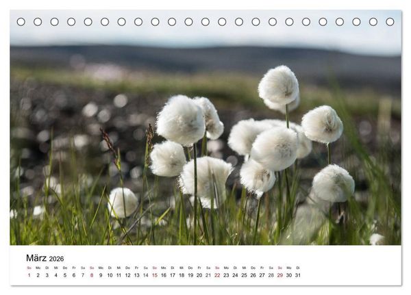 Produktbild: Island - rauhe Sch&ouml;nheit zum Verlieben (Tischkalender 2026 DIN A5 quer), CALVENDO Monatskalender