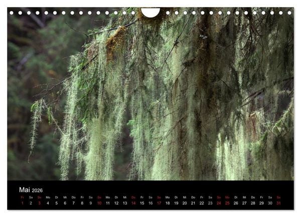 Produktbild: FASZINATION ALASKA Expedition durch die Inside Passage (Wandkalender 2026 DIN A4 quer), CALVENDO Monatskalender
