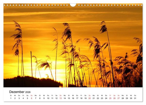 Produktbild: Hopfensee - Riviera des Allg&auml;us (Wandkalender 2026 DIN A3 quer), CALVENDO Monatskalender