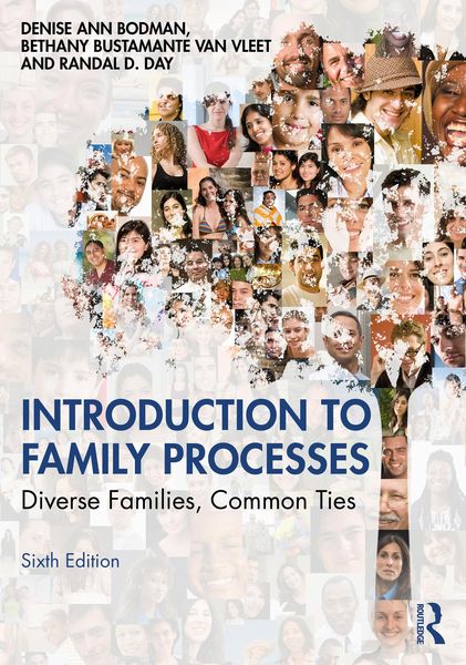 Produktbild: Introduction to Family Processes