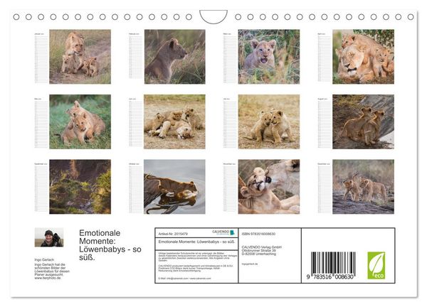 Produktbild: Emotionale Momente: L&ouml;wenbabys - so s&uuml;&szlig;. (Wandkalender 2026 DIN A4 quer), CALVENDO Monatskalender
