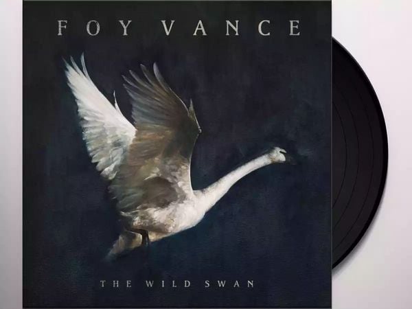 The Wild Swan - Foy Vance, Vinyl
