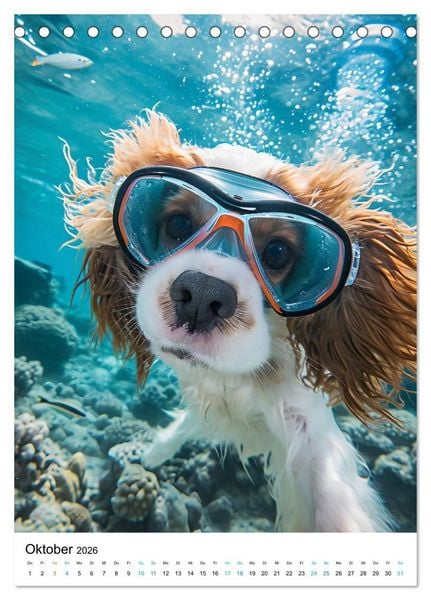 Produktbild: Cavalier King Charles Spaniel - Lustige Weltenreise im Selfie-Modus (Tischkalender 2026 DIN A5 hoch), CALVENDO Monatskalender