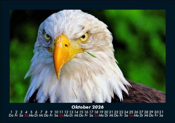 Produktbild: Adler 2026 Fotokalender DIN A5