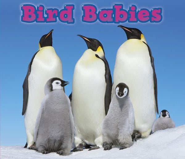 Produktbild: Bird Babies