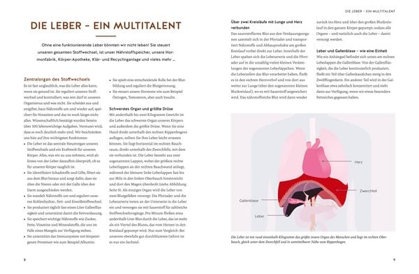 Produktbild: Die revolution&auml;re 9-Tage-Leber-Kur