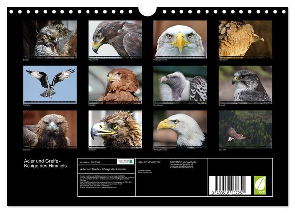 Produktbild: Adler und Greife - K&ouml;nige des Himmels (Wandkalender 2026 DIN A4 quer), CALVENDO Monatskalender