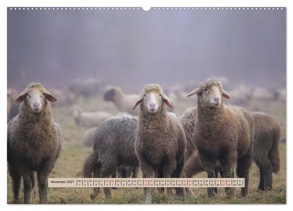 Produktbild: Nebel, Licht und Wunder (hochwertiger Premium Wandkalender 2027 DIN A2 quer), Kunstdruck in Hochglanz