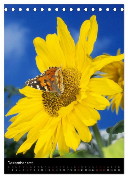 Produktbild: Schmetterlilnge und Blumen (Tischkalender 2026 DIN A5 hoch), CALVENDO Monatskalender