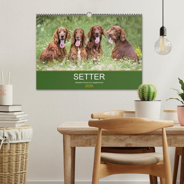 Produktbild: Setter - Geliebter Freund und Jagdkamerad (Wandkalender 2026 DIN A3 quer), CALVENDO Monatskalender