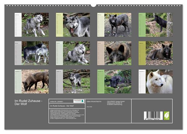 Produktbild: Im Rudel Zuhause - Der Wolf (hochwertiger Premium Wandkalender 2026 DIN A2 quer), Kunstdruck in Hochglanz