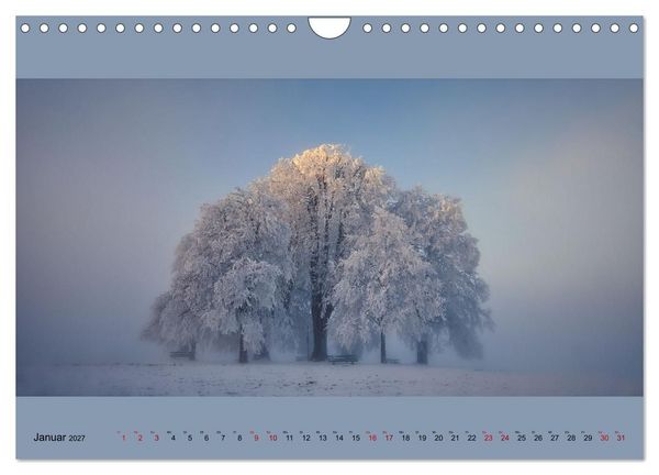Produktbild: Fogscapes - magische Nebellandschaften (Wandkalender 2027 DIN A4 quer), CALVENDO Monatskalender