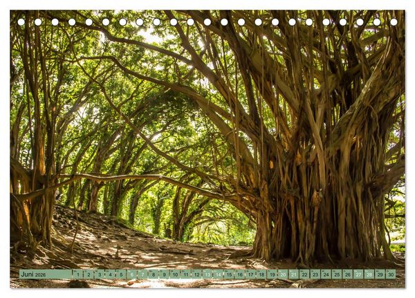 Produktbild: Big Island - Reise in eine unvergessliche Welt (Tischkalender 2026 DIN A5 quer), CALVENDO Monatskalender