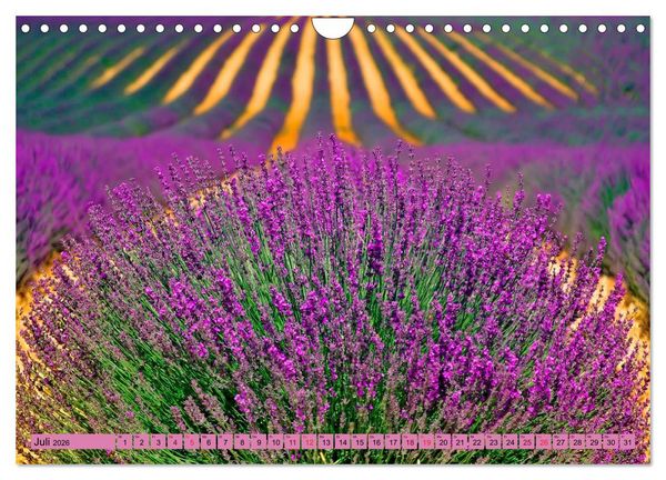 Produktbild: Lila - die mystische Farbe (Wandkalender 2026 DIN A4 quer), CALVENDO Monatskalender