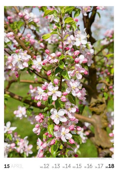 Produktbild: Natur Wochenkalender 2027