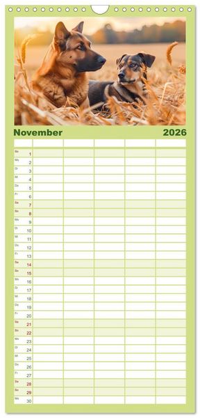 Produktbild: Familienplaner 2026 - Bauernhof-Freunde - Hunde und ihre tierischen Freundschaften mit 5 Spalten (Wandkalender, 21 x 45 cm) CALVENDO