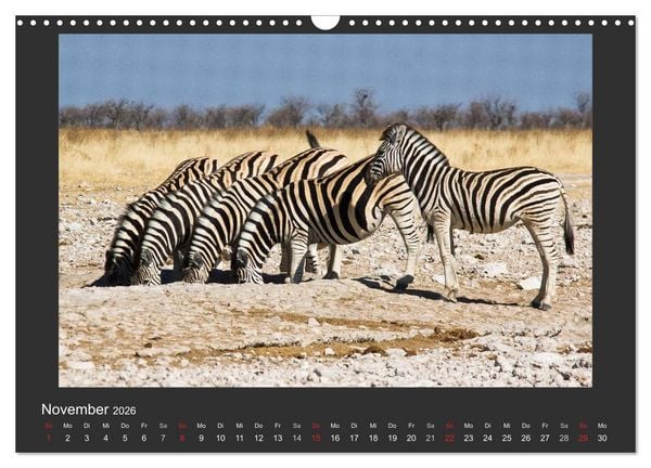 Produktbild: Facetten Namibias (Wandkalender 2026 DIN A3 quer), CALVENDO Monatskalender