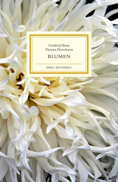 Produktbild: Blumen