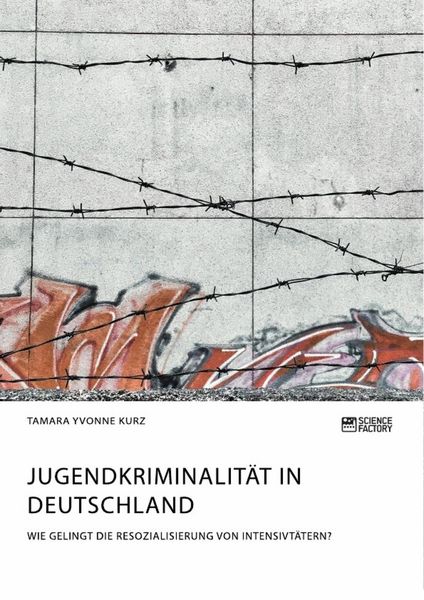 Produktbild: Jugendkriminalit&auml;t in Deutschland. Wie gelingt die Resozialisierung von Intensivt&auml;tern?