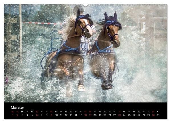 Produktbild: Pferde zum Tr&auml;umen (hochwertiger Premium Wandkalender 2027 DIN A2 quer), Kunstdruck in Hochglanz