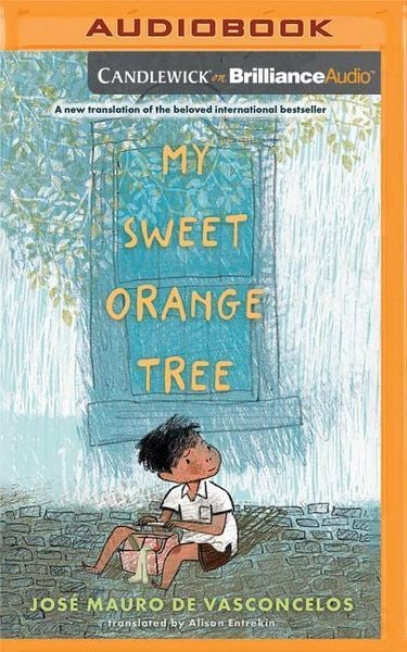 Produktbild: MY SWEET ORANGE TREE M
