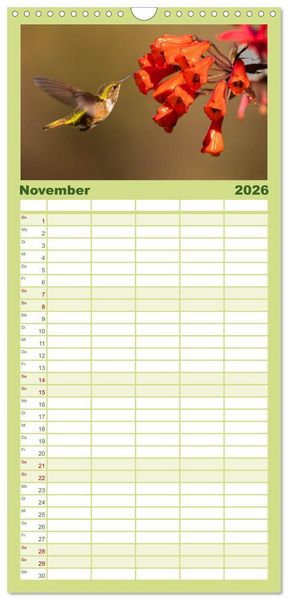 Produktbild: Familienplaner 2026 - Zauberhafte Kolibris in Costa Rica mit 5 Spalten (Wandkalender, 21 x 45 cm) CALVENDO