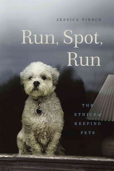 Produktbild: Run, Spot, Run
