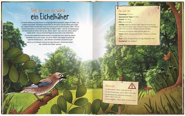Produktbild: Stell dir vor, du wärst...ein Tier im Wald