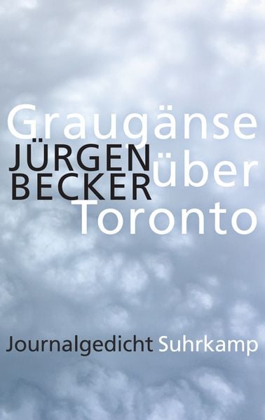 Produktbild: Graug&auml;nse &uuml;ber Toronto
