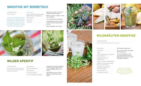 Produktbild: Die Kraft der Kräuter nutzen