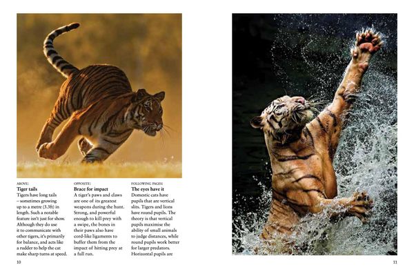 Produktbild: Tigers