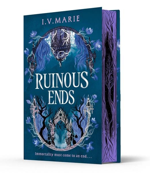 Produktbild: Ruinous Ends_souls Of Bl Ex Hb