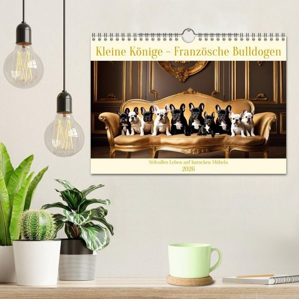 Produktbild: Kleine K&ouml;nige - Franz&ouml;sische Bulldoggen (Wandkalender 2026 DIN A4 quer), CALVENDO Monatskalender