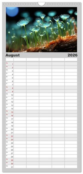 Produktbild: Familienplaner 2026 - Wunderwelt Mikrokosmos mit 5 Spalten (Wandkalender, 21 x 45 cm) CALVENDO