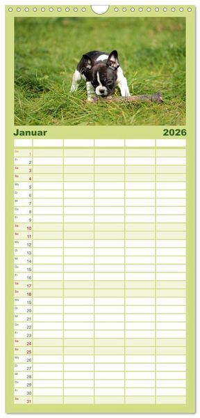 Produktbild: Familienplaner 2026 - Franz&ouml;sische Bulldoggen mit 5 Spalten (Wandkalender, 21 x 45 cm) CALVENDO