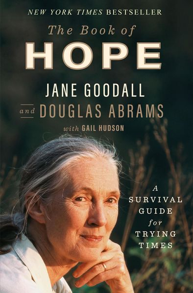 Cover of the book The Book of Hope