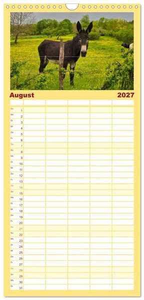 Produktbild: Familienplaner 2027 - Liebenswerte Esel mit 5 Spalten (Wandkalender, 21 x 45 cm) CALVENDO